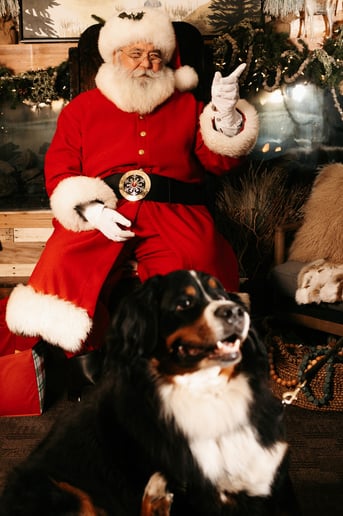 Gallery photo 8 of Santa Eric & Mrs. Claus