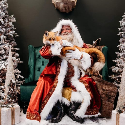 Gallery photo 21 of Southern Santas and Holiday Characters