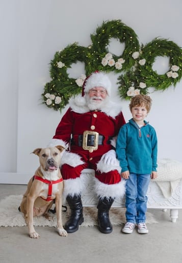 Gallery photo 7 of Santa Jeffrey