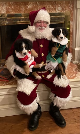 Gallery photo 32 of Santa Jeffrey