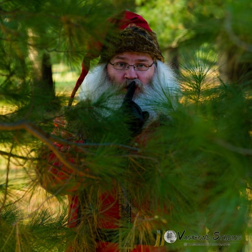 Gallery photo 11 of Santa Shane