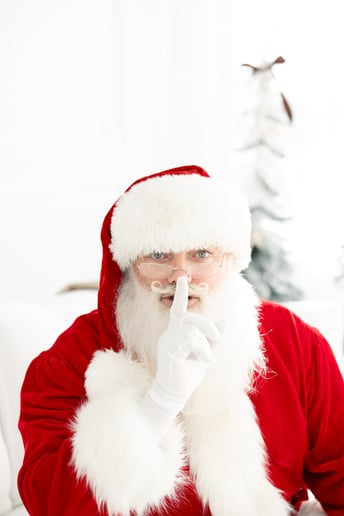 Gallery photo 7 of Santa Clint