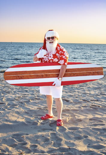 Gallery photo 8 of Santa Clint