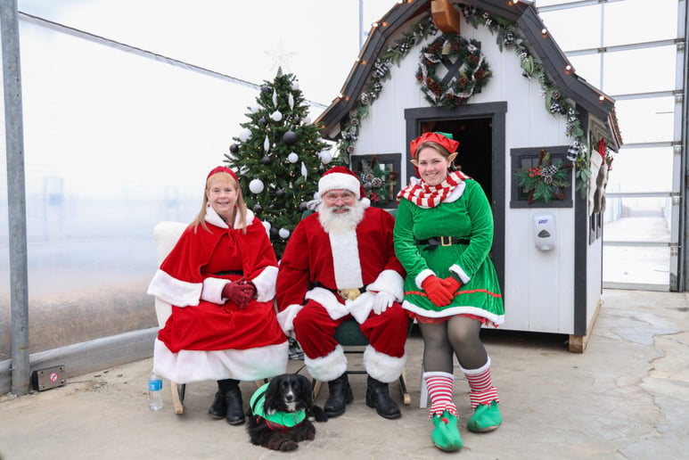 Gallery photo 7 of Santa Claus Jim