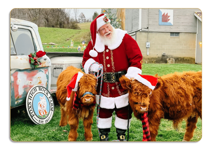 Gallery photo 4 of Santa and You™ | A Bespoke, Luxury Santa Experience