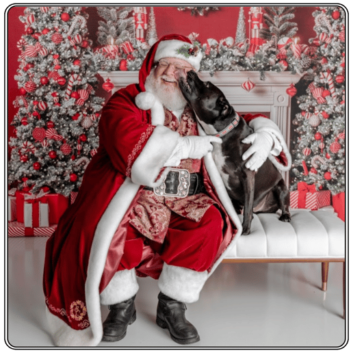 Gallery photo 7 of Santa and You™ | A Bespoke, Luxury Santa Experience