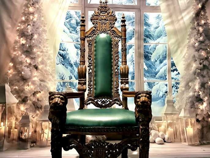 Gallery photo 11 of Santa Savvy and Christmas Entertainment