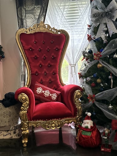 Gallery photo 12 of Santa Savvy and Christmas Entertainment
