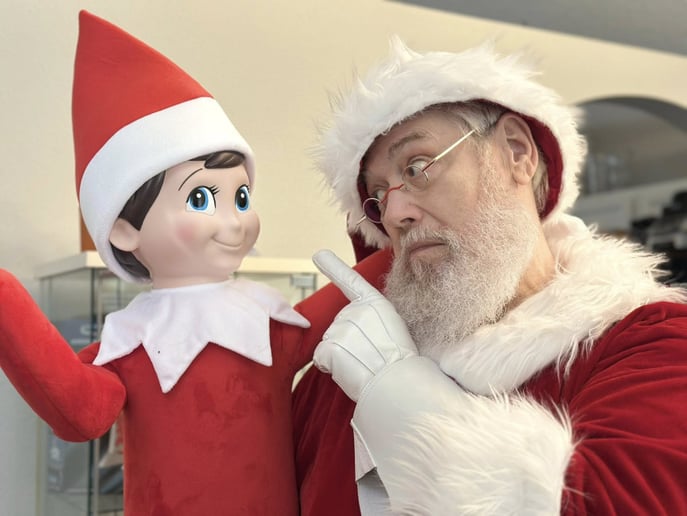Gallery photo 15 of Santa Savvy and Christmas Entertainment