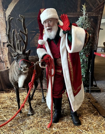 Gallery photo 22 of Santa Savvy and Christmas Entertainment