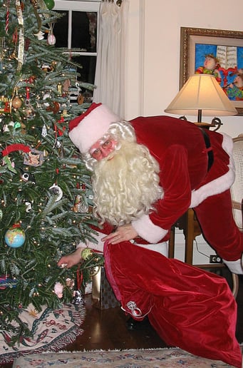 Gallery photo 3 of Santa Claus Donald