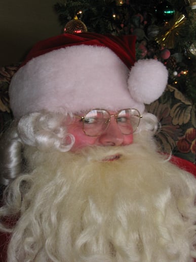 Gallery photo 9 of Santa Claus Donald