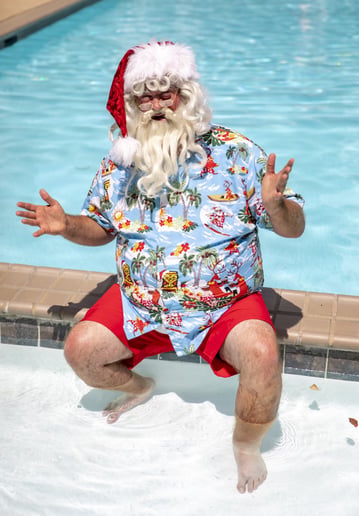 Gallery photo 19 of Santa Gunner
