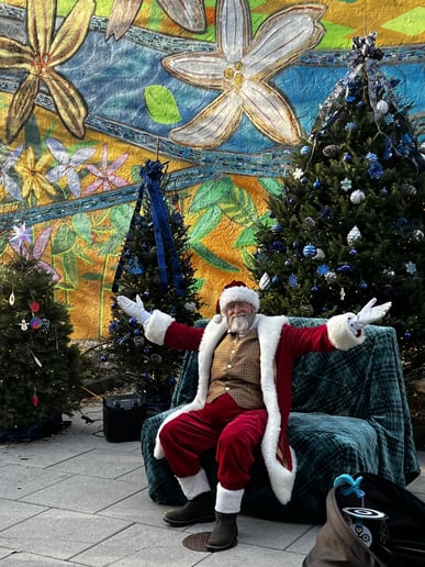 Gallery photo 5 of Santa Owen