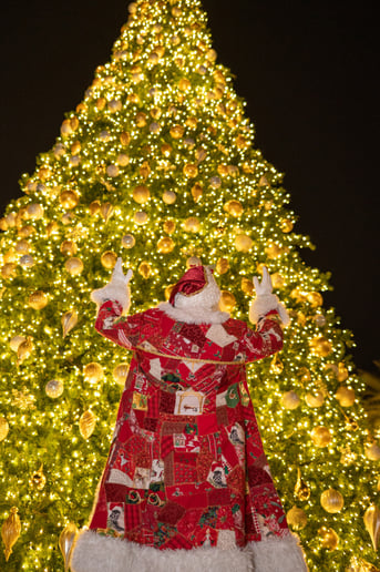 Gallery photo 2 of Santa Arizona and Friends AZ