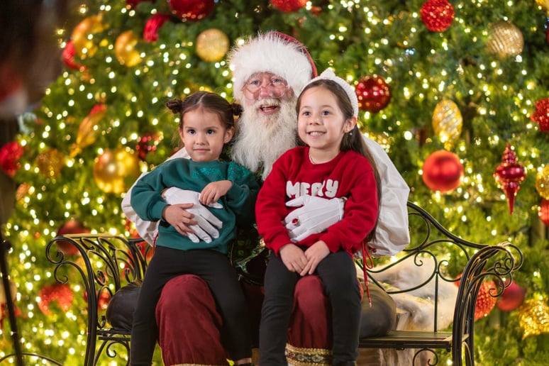 Gallery photo 37 of Santa Arizona and Friends AZ