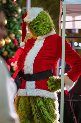 Gallery photo 12 of Santa Arizona and Friends AZ