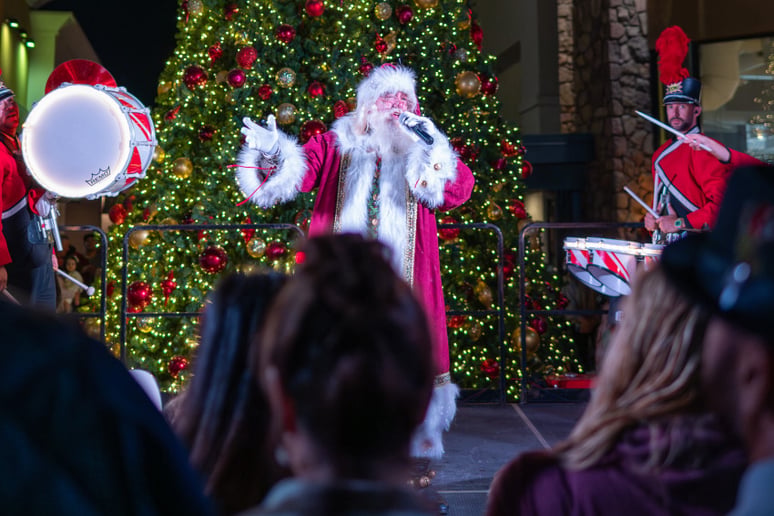 Gallery photo 46 of Santa Arizona and Friends AZ