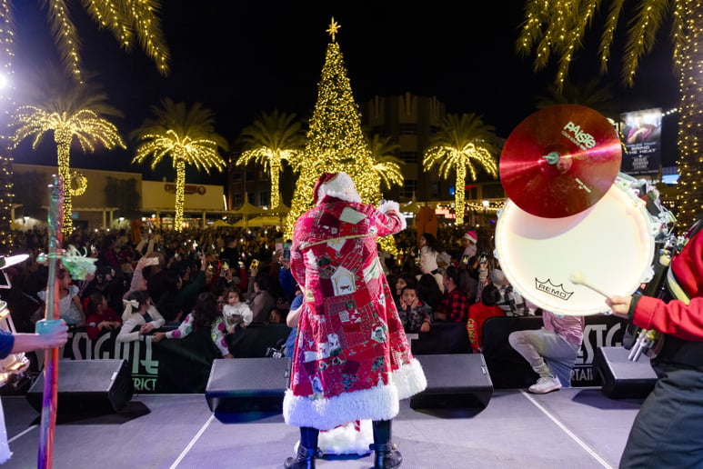 Gallery photo 47 of Santa Arizona and Friends AZ