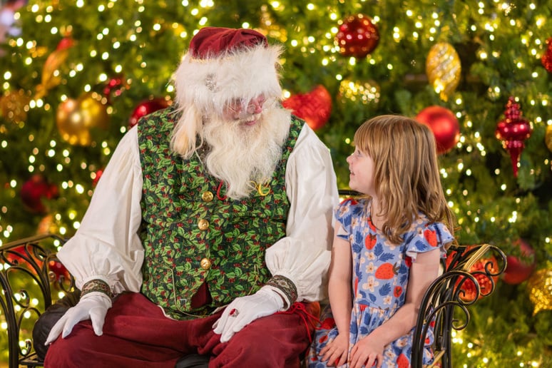 Gallery photo 49 of Santa Arizona and Friends AZ