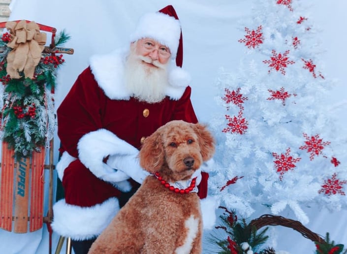 Gallery photo 21 of Santa Randall