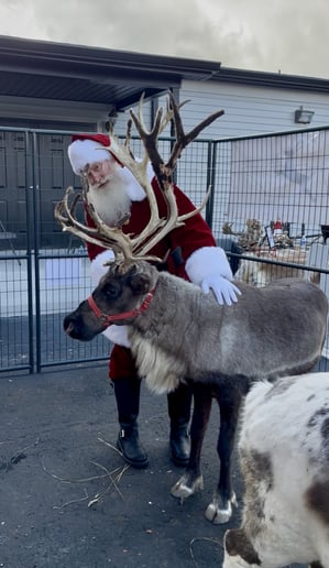Gallery photo 28 of Santa Randall
