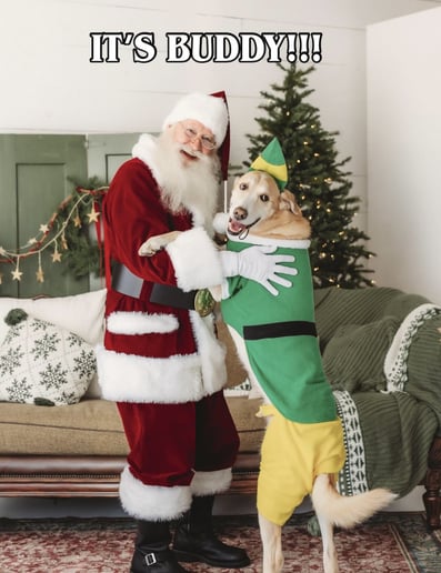 Gallery photo 29 of Santa Randall