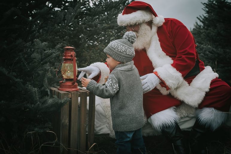 Gallery photo 1 of Santa Jack