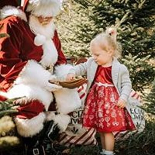 Gallery photo 2 of Santa Jack