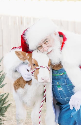 Gallery photo 1 of Santa Ralph