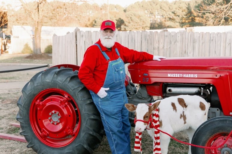Gallery photo 6 of Santa Ralph
