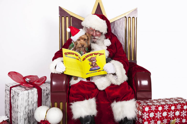 Gallery photo 5 of Smitty Clause With a Cause