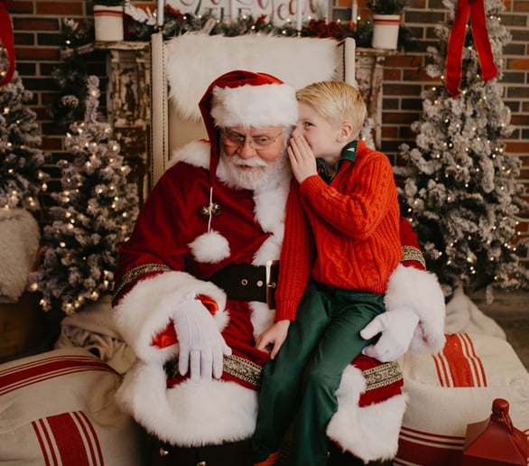Gallery photo 3 of Santa Claus Ron