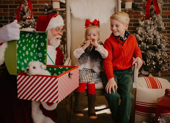 Gallery photo 5 of Santa Claus Ron