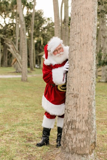 Gallery photo 37 of Santa Claus Ron