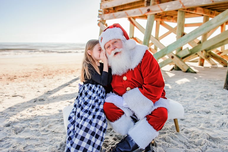 Gallery photo 77 of Santa Claus Ron
