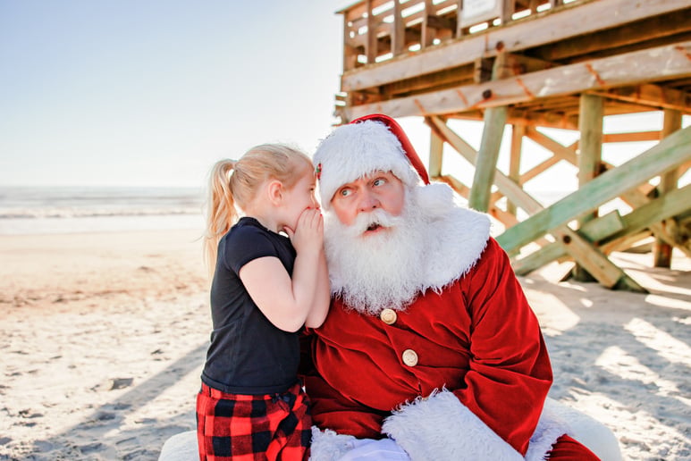 Gallery photo 81 of Santa Claus Ron