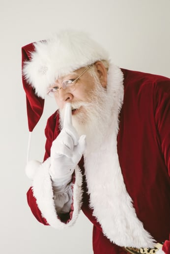 Gallery photo 9 of Santa Claus Ron