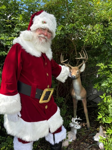 Gallery photo 11 of Santa Bobby Scuteri