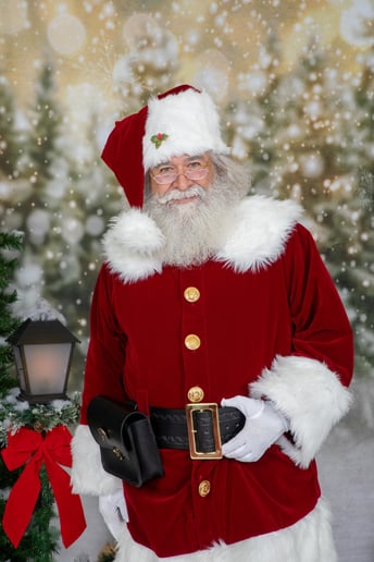 Gallery photo 5 of Santa Bobby Scuteri