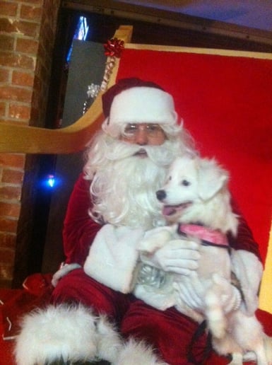 Gallery photo 5 of Santa Monica Santa Claus