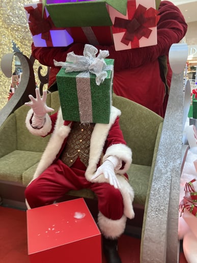 Gallery photo 2 of Santa Zander
