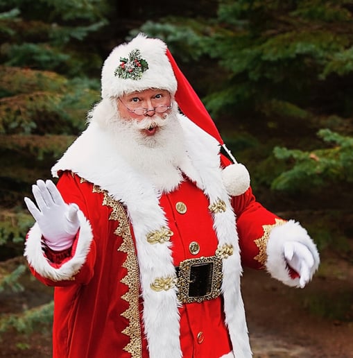 Gallery photo 10 of Santa Michael, The Mitten State Santa