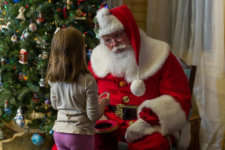 Gallery photo 2 of Santa Michael, The Mitten State Santa