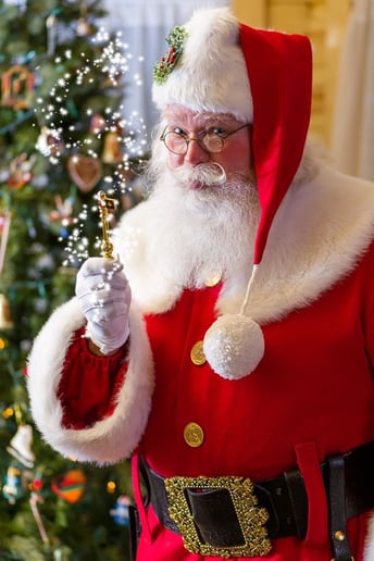 Gallery photo 3 of Santa Michael, The Mitten State Santa