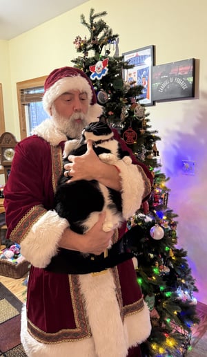 Gallery photo 7 of Santa David-Kenosha