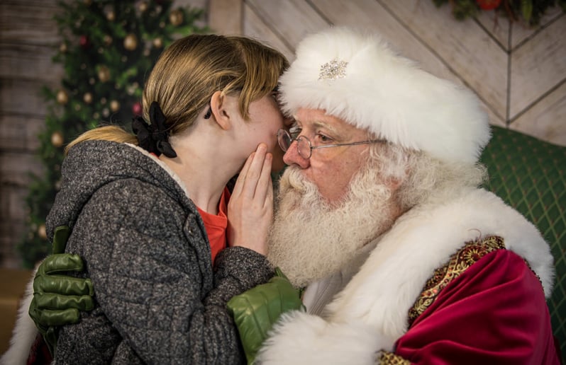 Gallery photo 3 of Santa Sarge