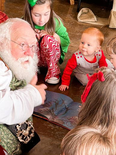 Gallery photo 2 of Santa Sarge