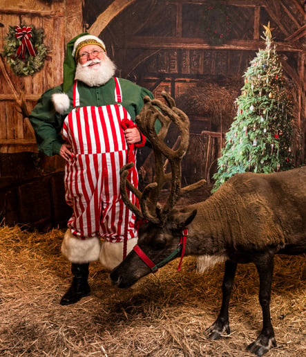 Gallery photo 9 of Santa Sarge