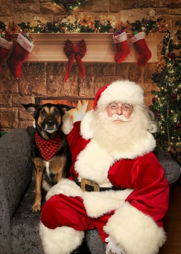 Gallery photo 3 of Santa Claus Daniel